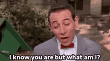 peewee-herman-i-know-you-are-but-what-am-i.gif